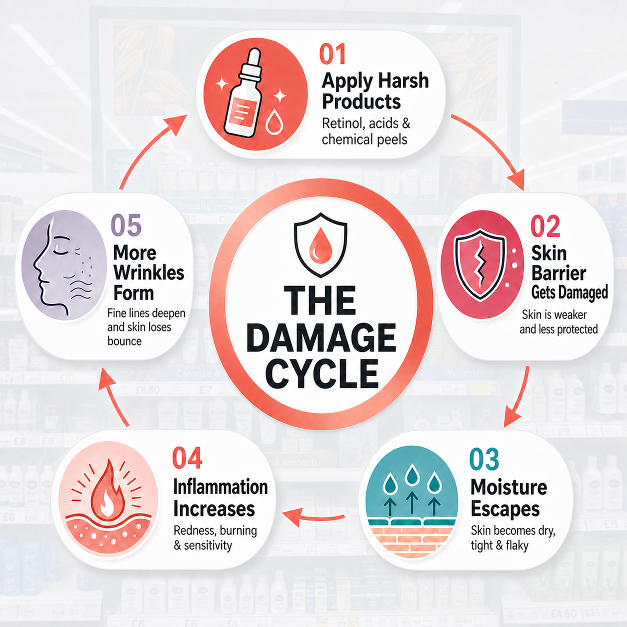 The damage cycle: harsh products damage the skin barrier, leading to moisture loss, inflammation and wrinkles